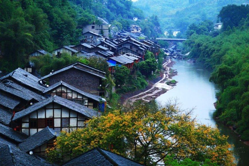 逃出蜜蜂岛